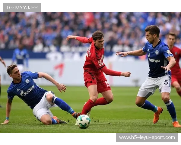 欧罗巴赛事投注解析，弗赖堡VS巴塞尔推荐，弗赖堡对菲尔特比分预测